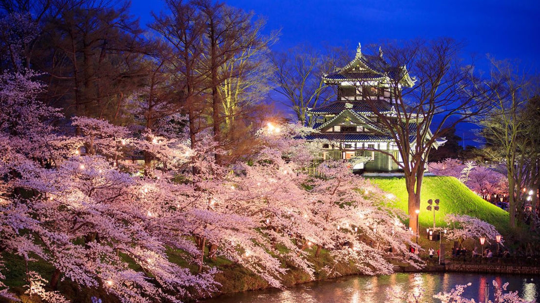 【幻想的な桜を彩る☆日本三大夜桜観桜会】会場まで送迎＆ロッテのお菓子などホテル特典も満載／朝食付
