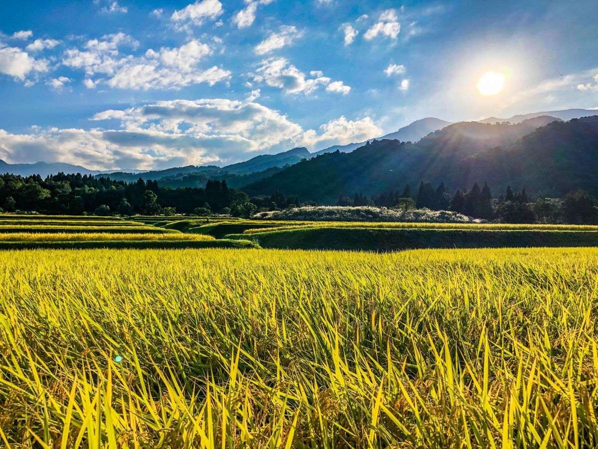 矢代産コシヒカリを堪能★「佐渡島の金山」世界遺産登録１周年記念 【美食旅】＜夕朝食付＞