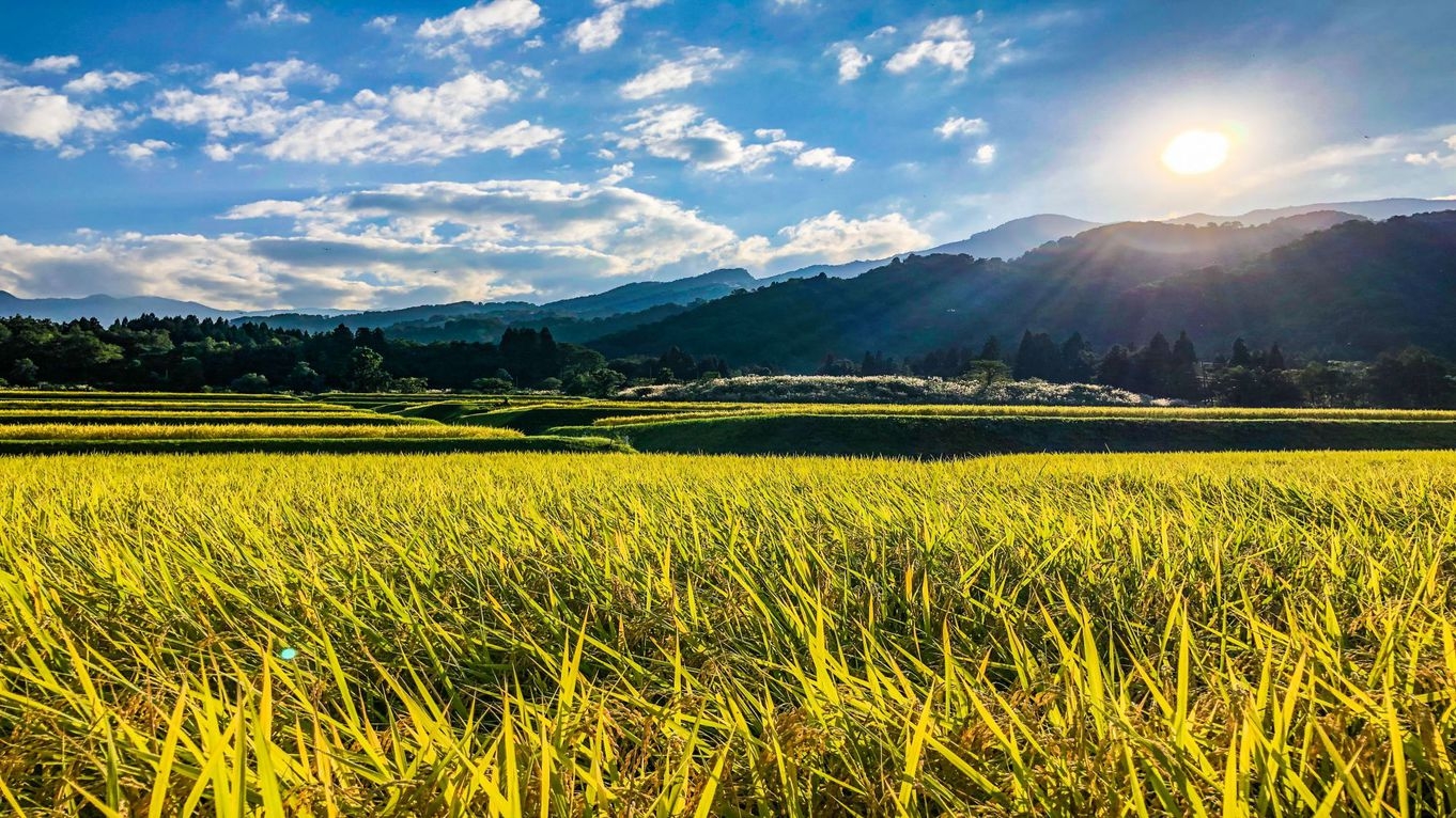 【幻の銘米】ここでしか手に入らない！星空米の新米3合プレゼント付プラン＜朝食付＞