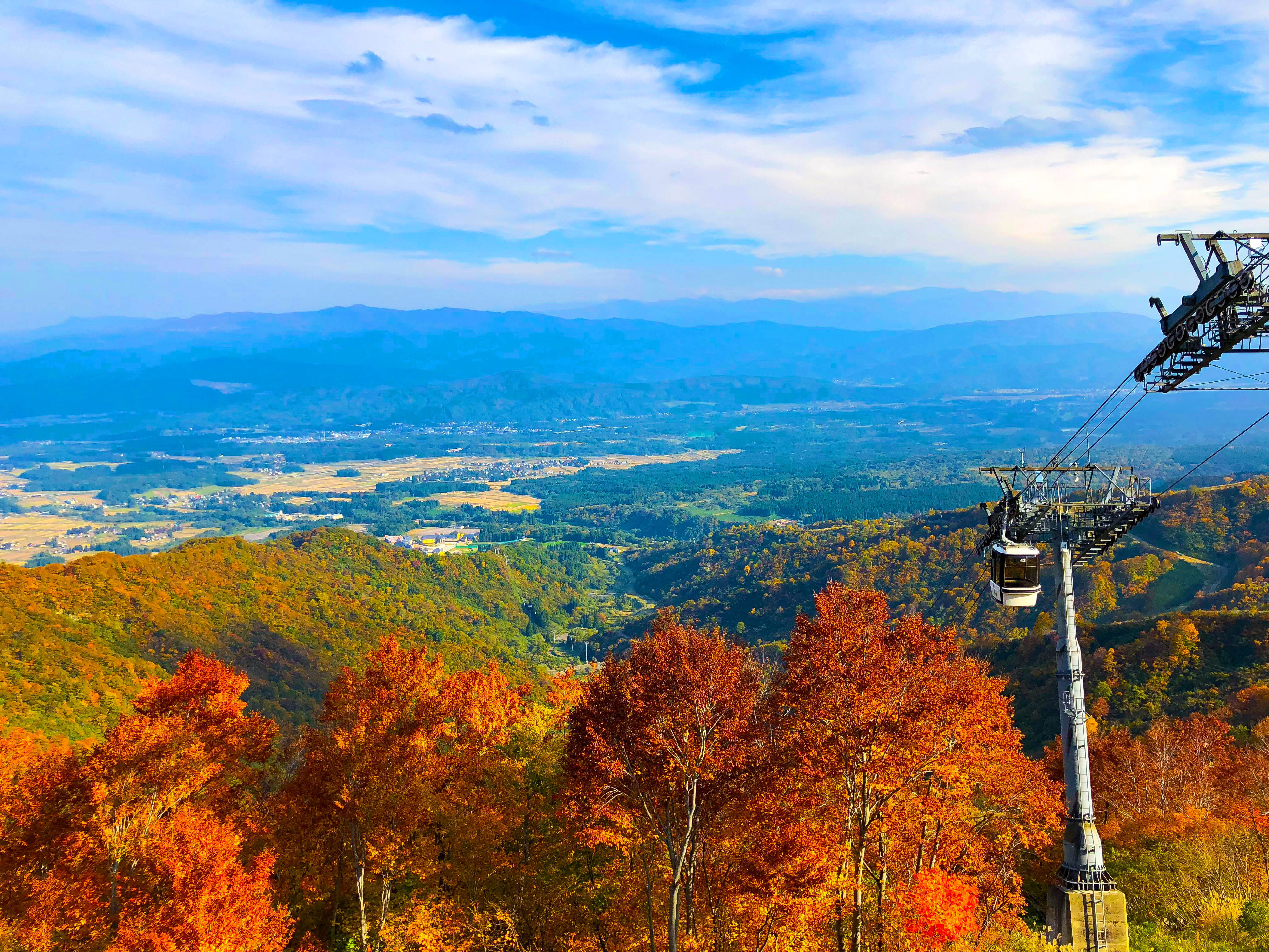 紅葉ゴンドラ