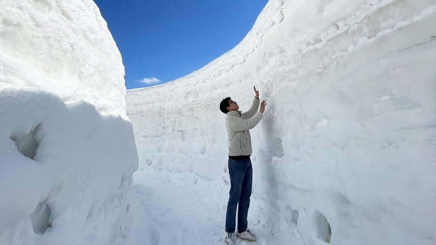 雪の回廊 / 1月下旬～3月下旬 リゾート内に巨大な雪の壁が出現
