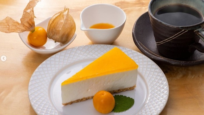 ＼苔観察＆ティータイム付き／白駒池 苔の森ガイドツアー☆1日限定5組【1泊2食】