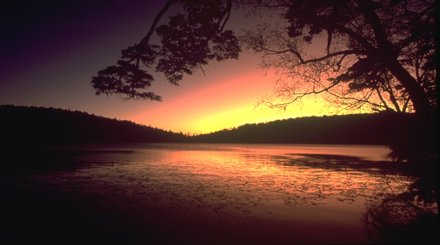 白駒荘基本プラン【1泊2食】*