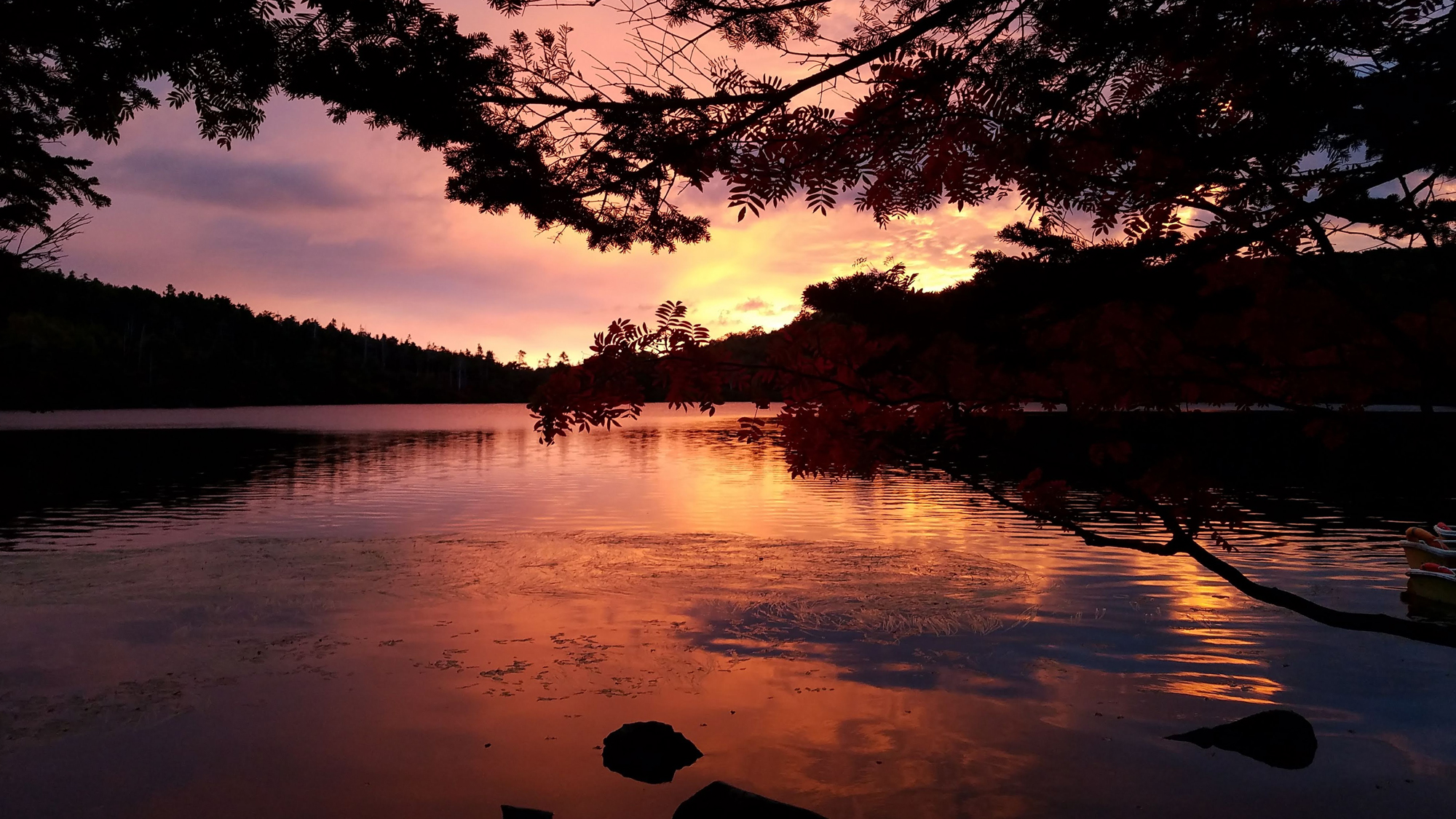 夕暮れも美しい白駒の池