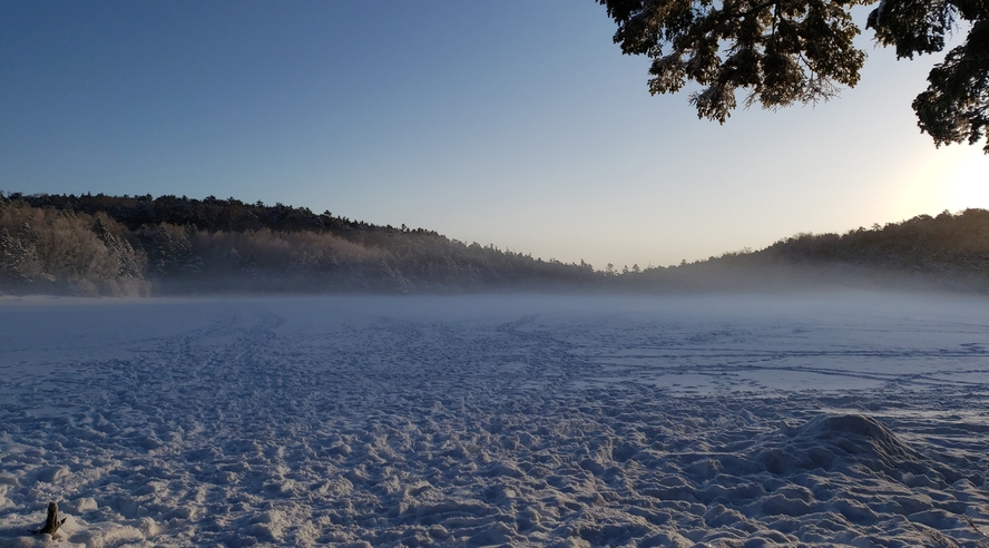 朝靄が漂う全面結氷した白駒の池