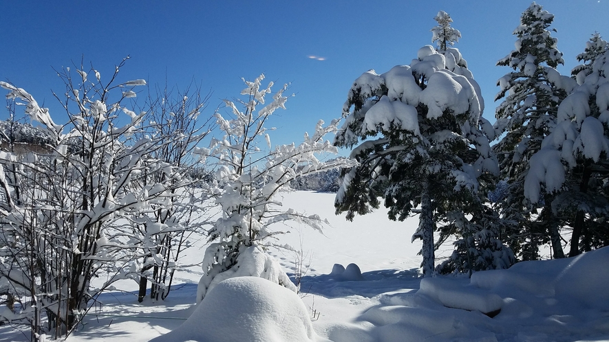 雪の白駒荘周辺