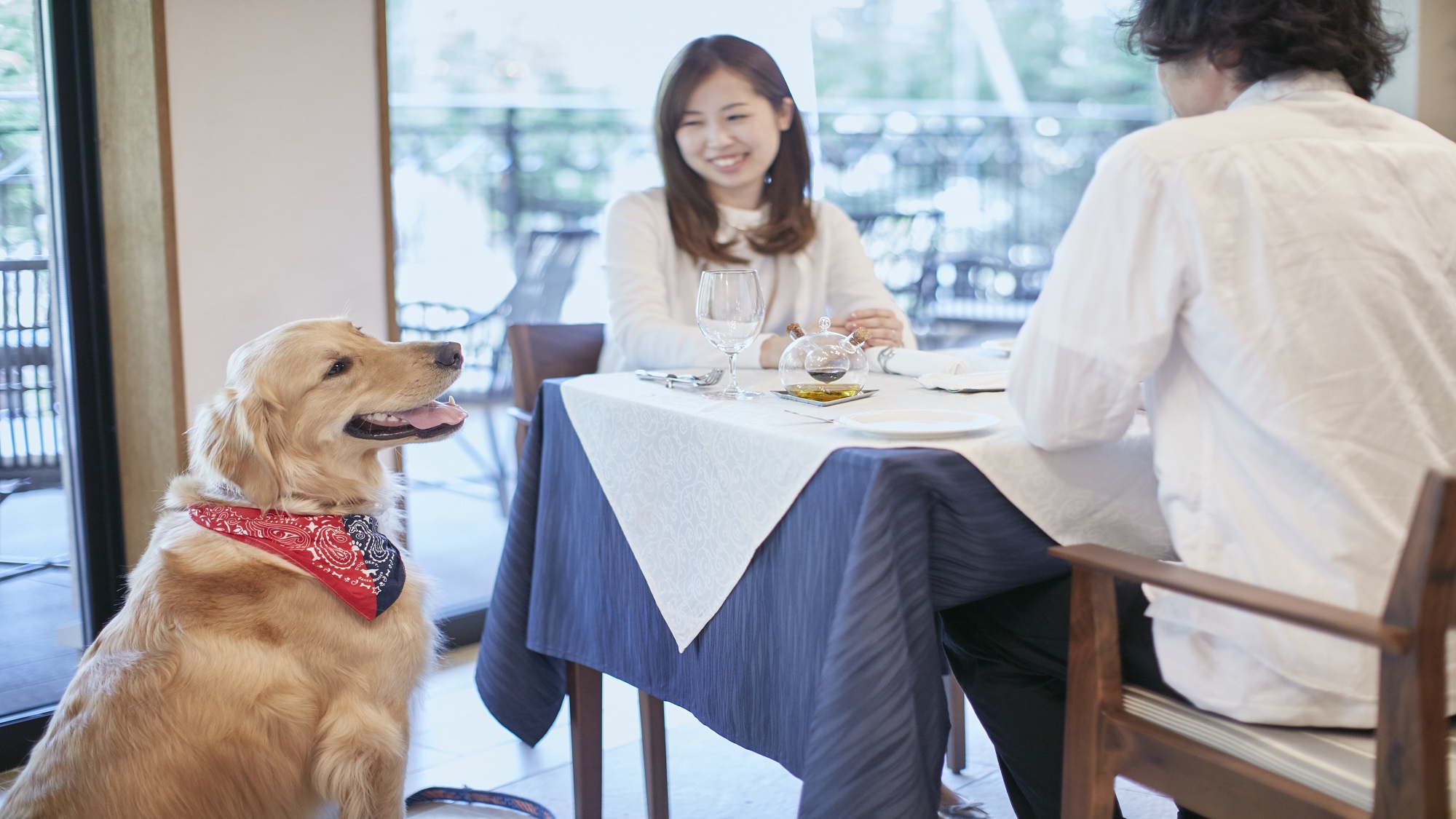 ★ペット同伴ルーム★【朝食付】旧軽井沢で愛犬とお散歩！到着24時でもOK☆※小〜大型犬まで可