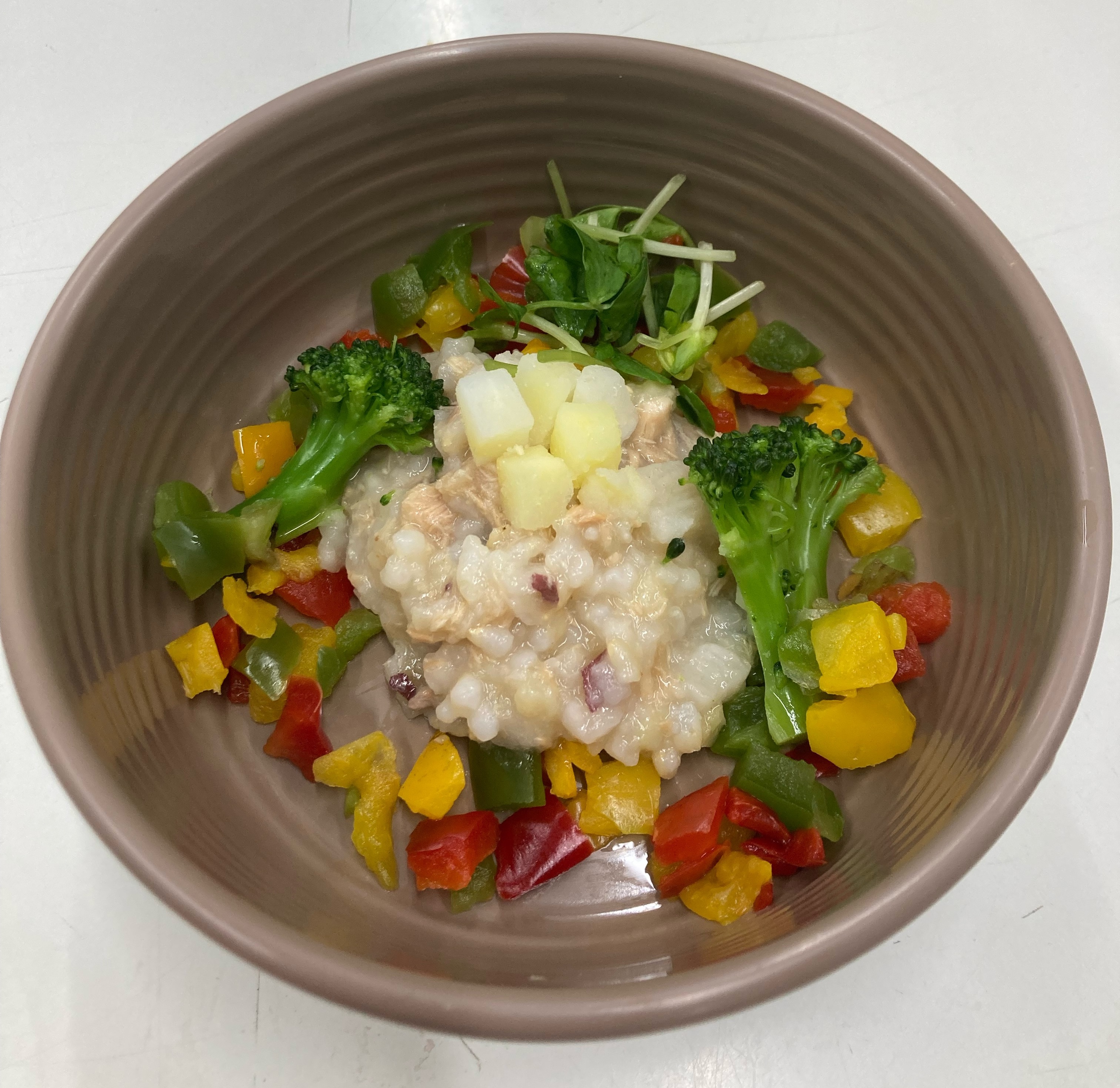 【ドッグミール】サーモンとさつまいものリゾット50kcal＠有料、当日予約可