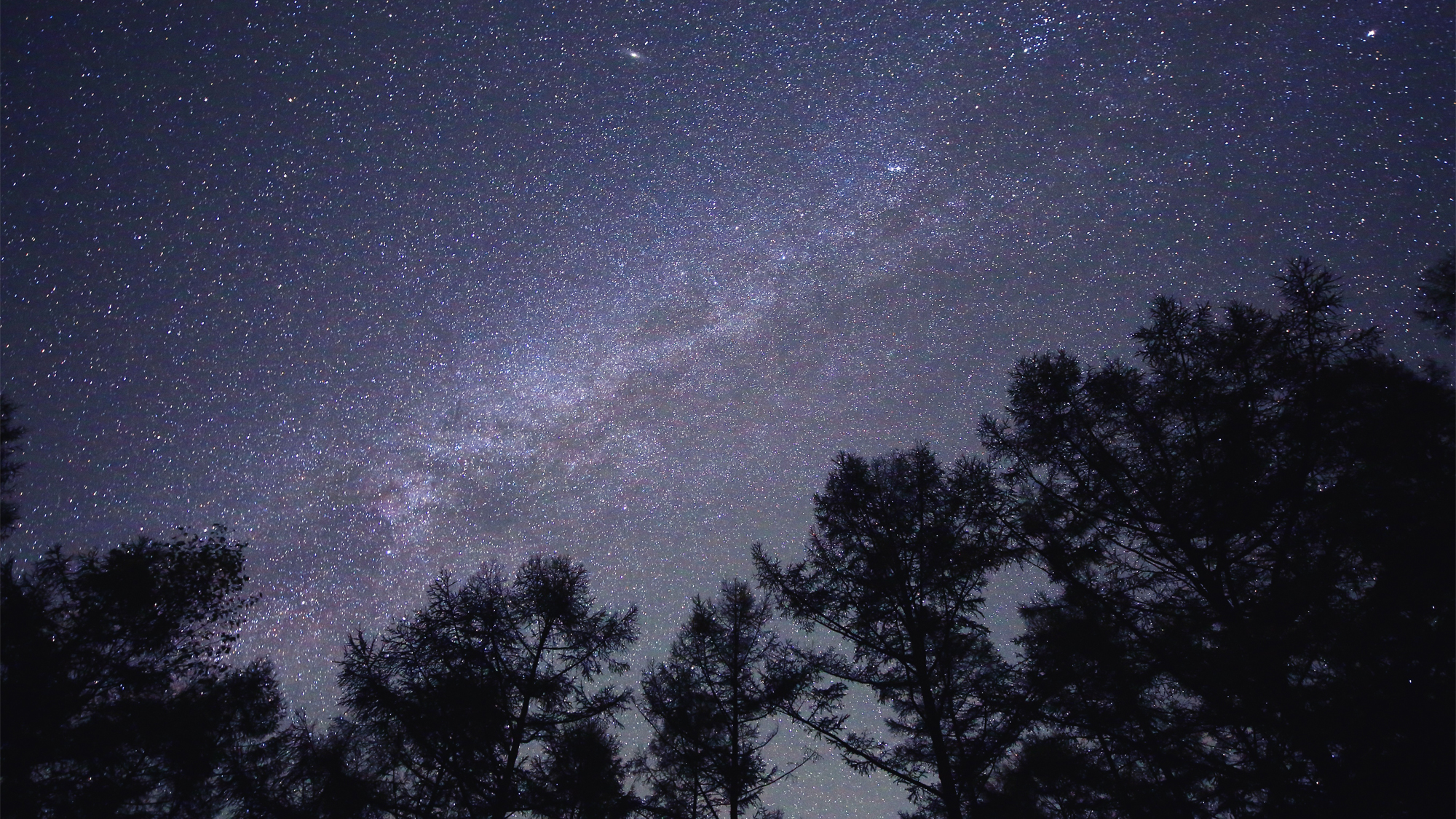 *【周辺観光】スターオーシャン八ヶ岳は、八ヶ岳の星空をナビゲーターがご案内する星空観察ツアーです。