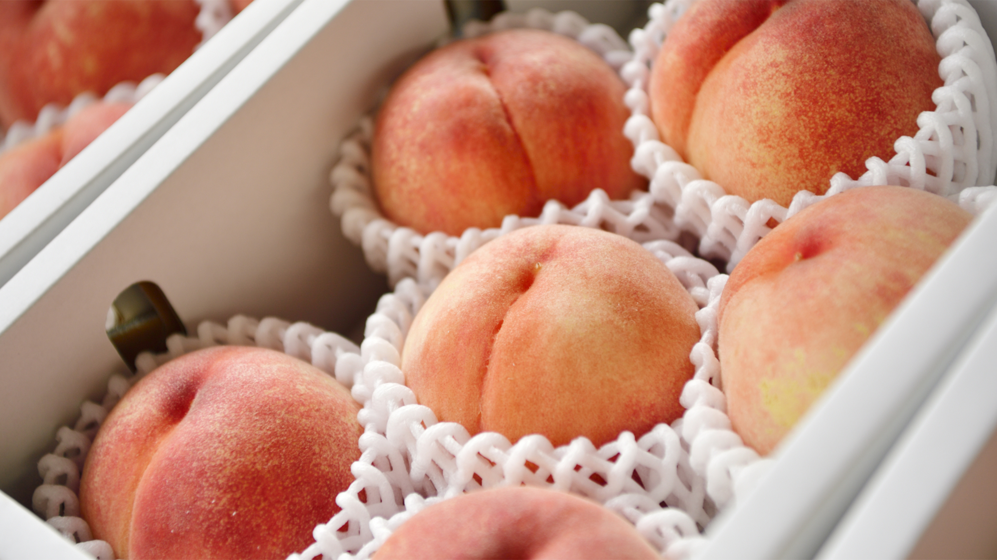 *【産直マルシェ】夏季限定のお楽しみ！契約農家から届く、新鮮で大きな甘い桃を販売しております。