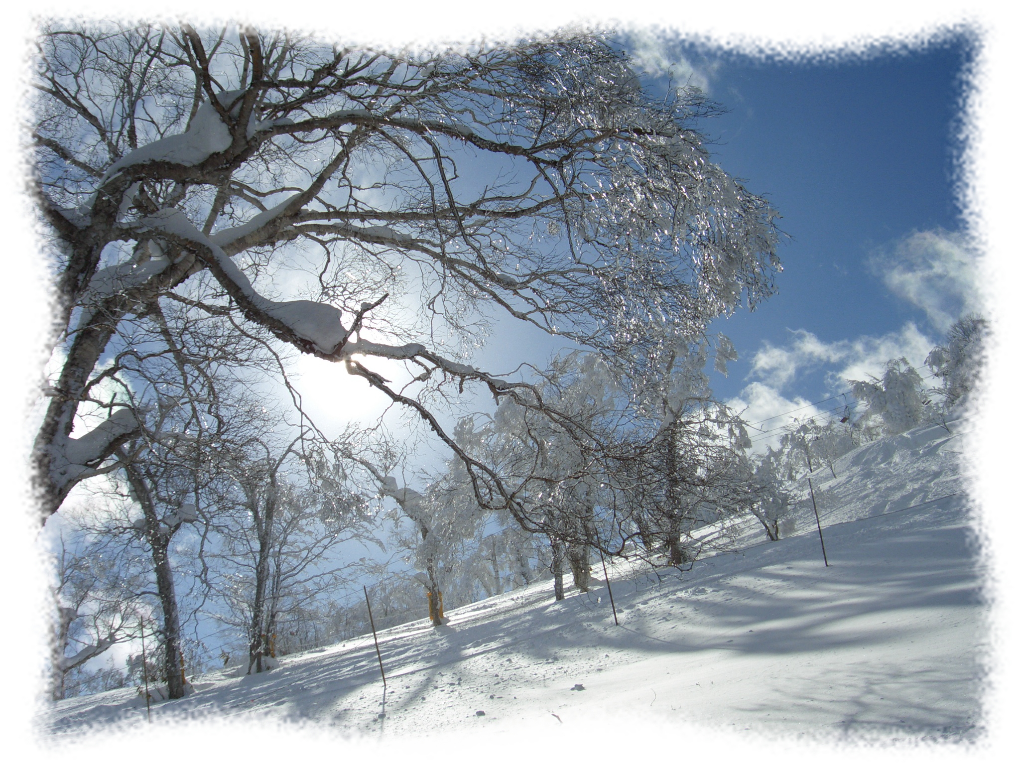 冬のスキー場(西岳)3