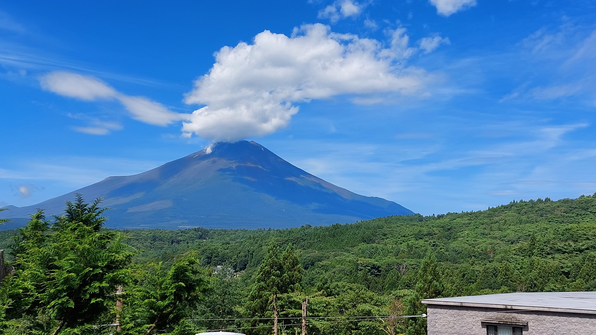 *富士山／深緑に映える夏の富士。きれいに晴れ渡ったシャッターチャンスを逃さなかった、夏の1枚です