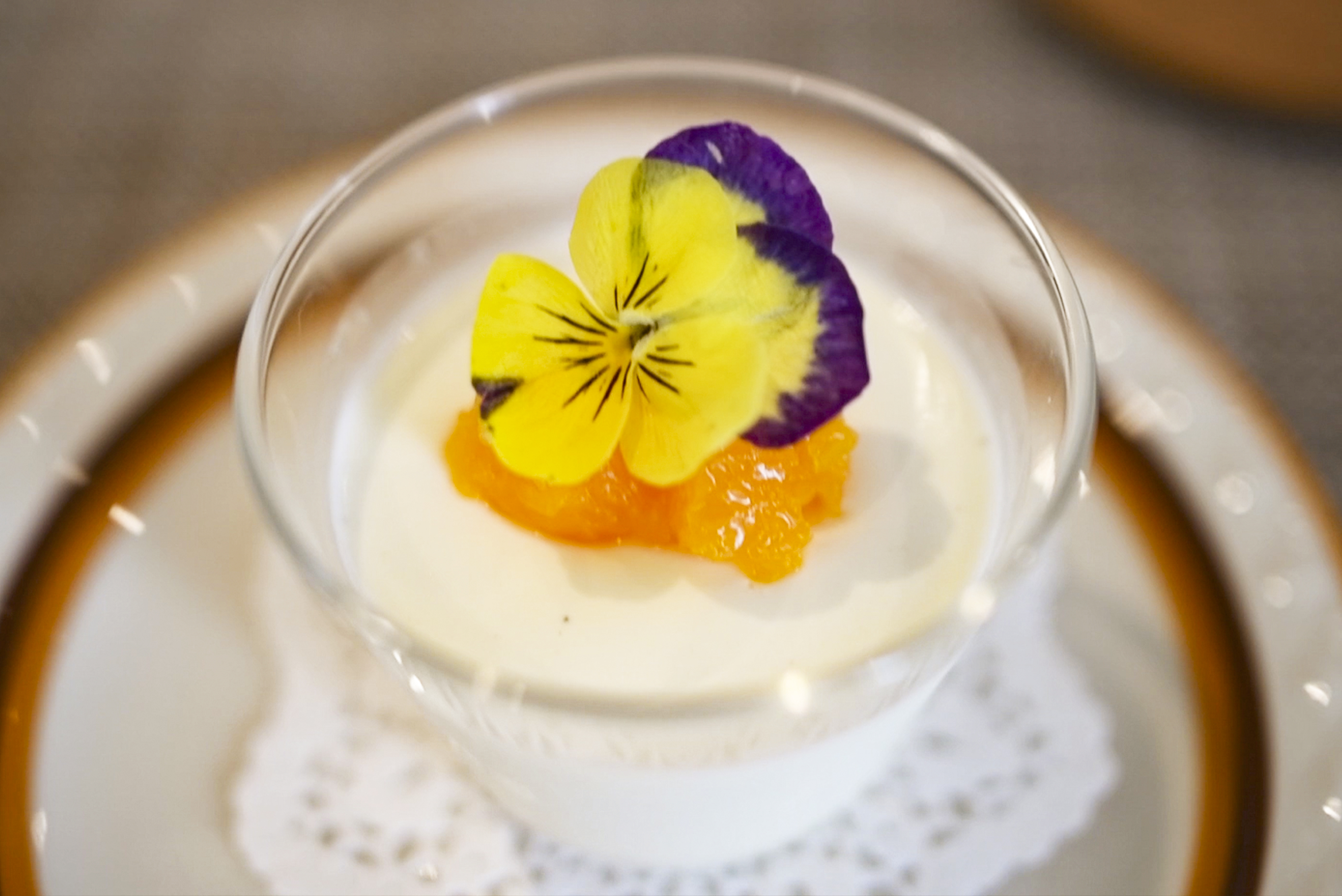 panna cotta