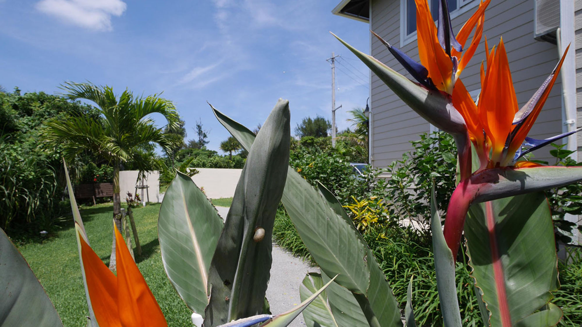 ・エントランスと建物をつなぐ通路