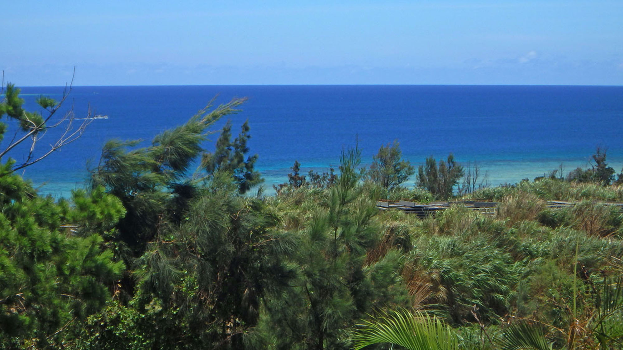 ・リビングからの景色：目の前に青い海が広がっています