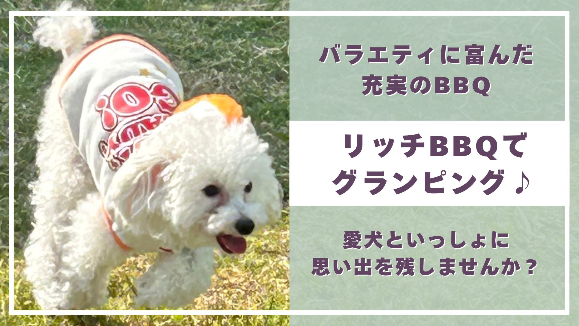 ペット専用トレーラーハウスで愛犬とグランピング♪【バラエティに富んだ充実のBBQを楽しもう！☆2食付