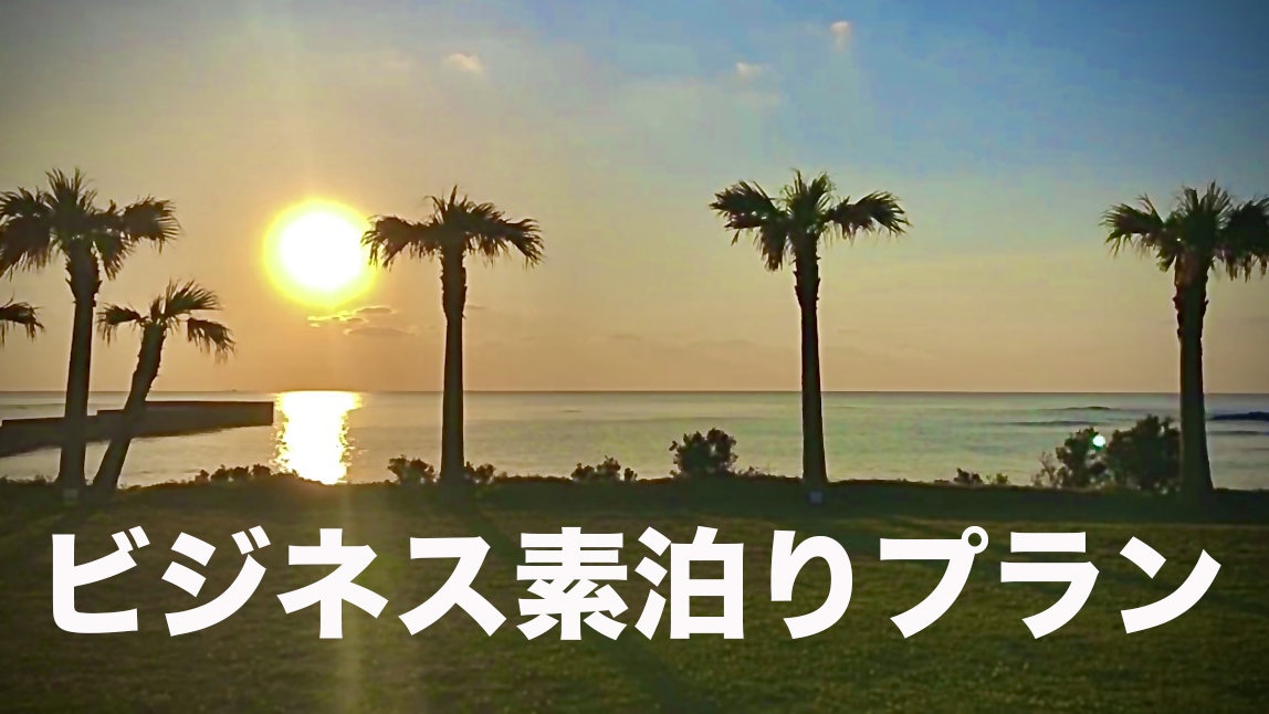 出張応援！！ビジネスECOプラン【素泊まり】