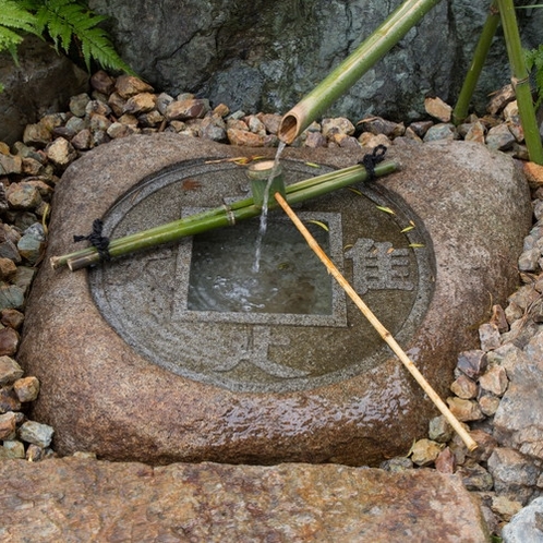 旅の疲れを癒してくれる京都らしい庭園は、日本文化を感じさせる場所です