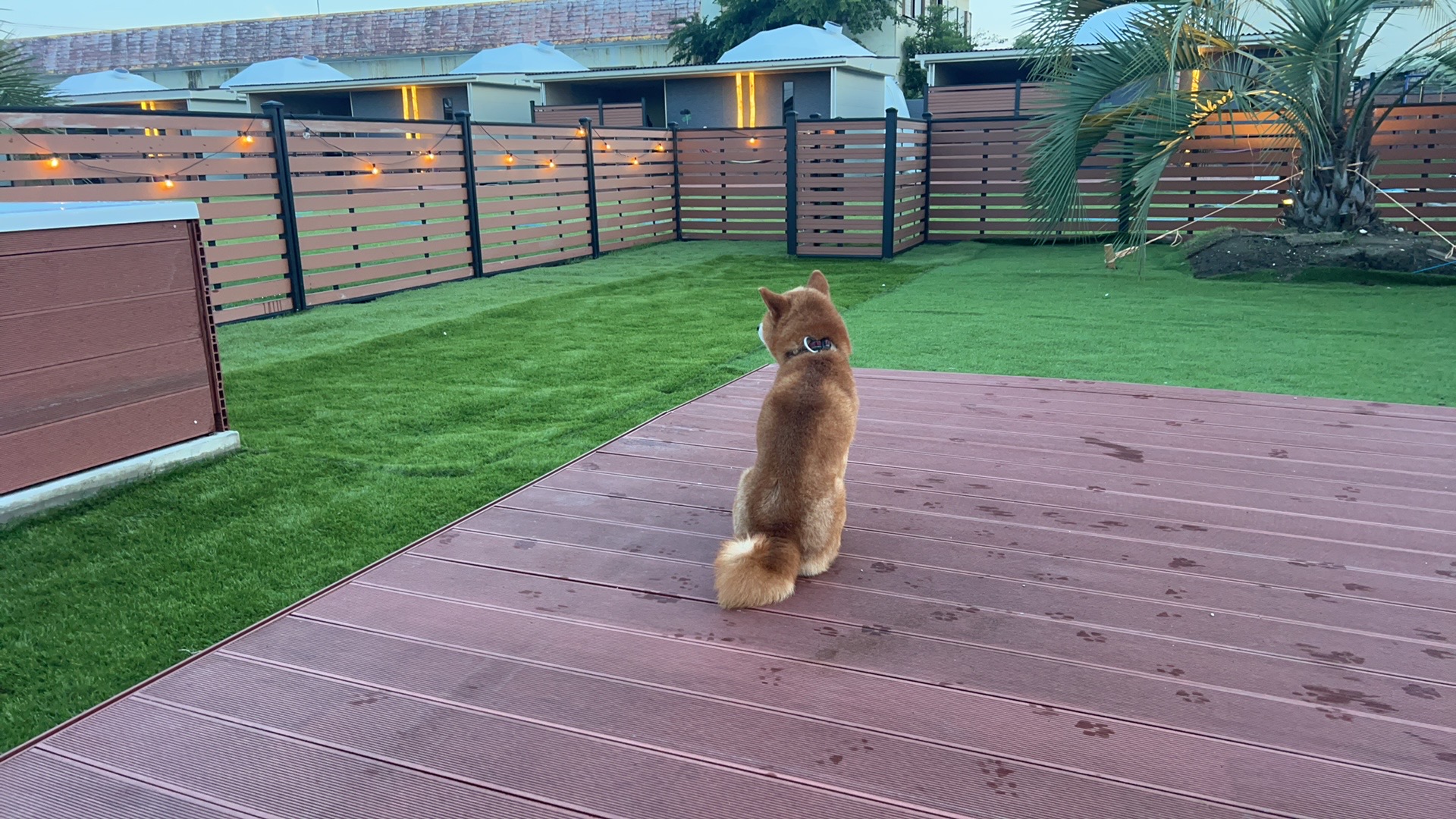 ドゥカーレグランリゾート片貝シーサイド ドッグラン