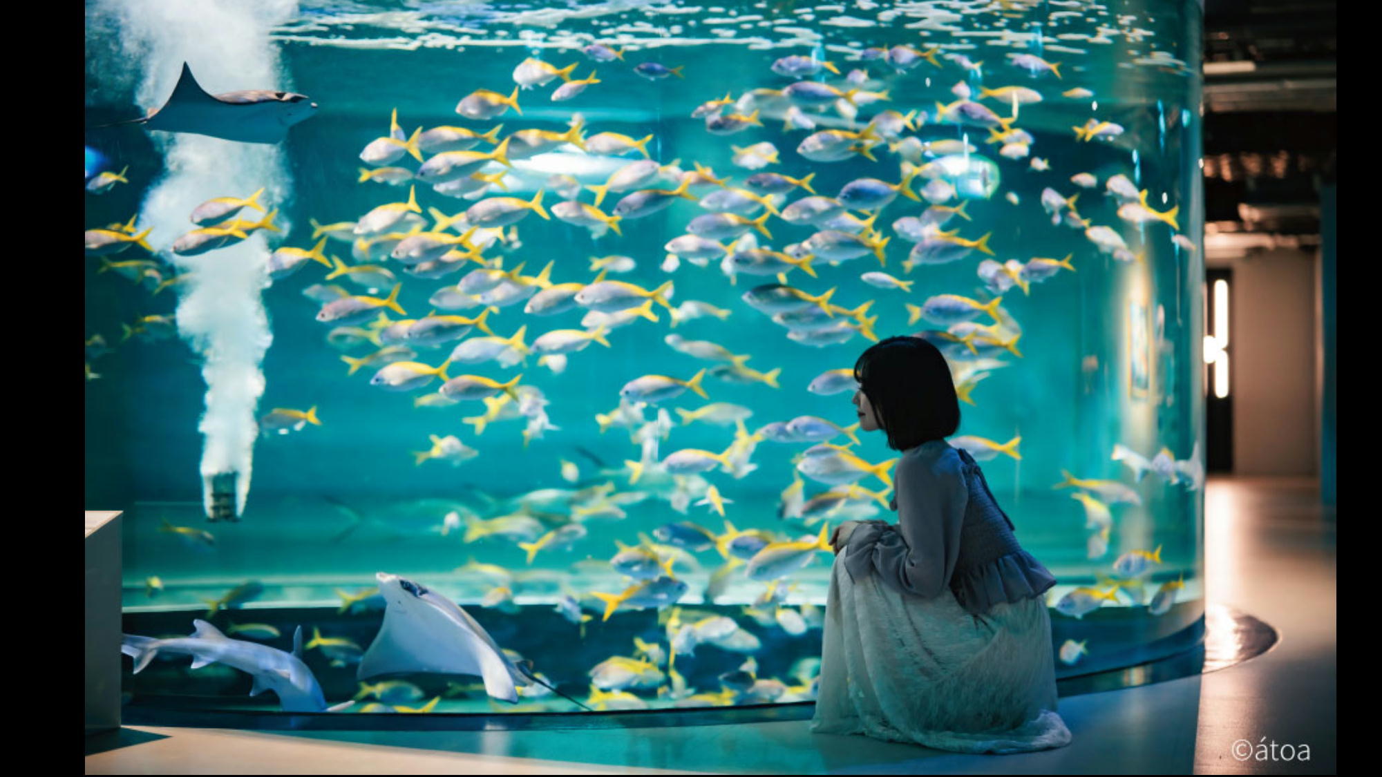 【都市型水族館「atoa」入場券付】幻想的な空間でアクアリウムやアートを体験（朝食付）