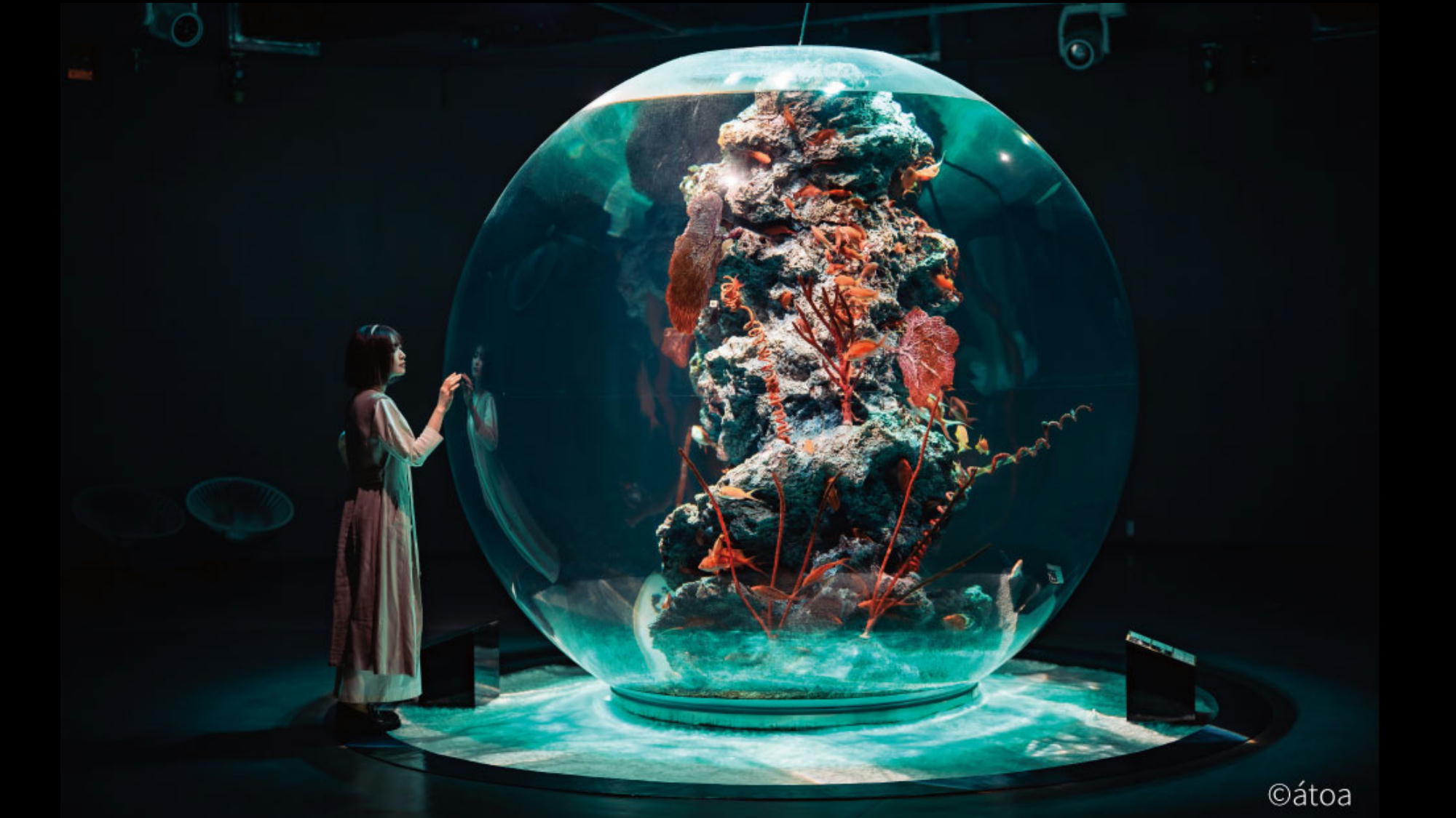 【都市型水族館「atoa」入場券付】幻想的な空間でアクアリウムやアートを体験（朝食付）