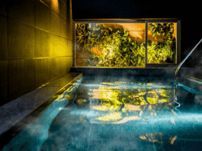 【10％OFF】【楽天スーパーSALE】☆今だけポイント2倍！素泊まりプラン♪湯河原天然温泉男女別♪