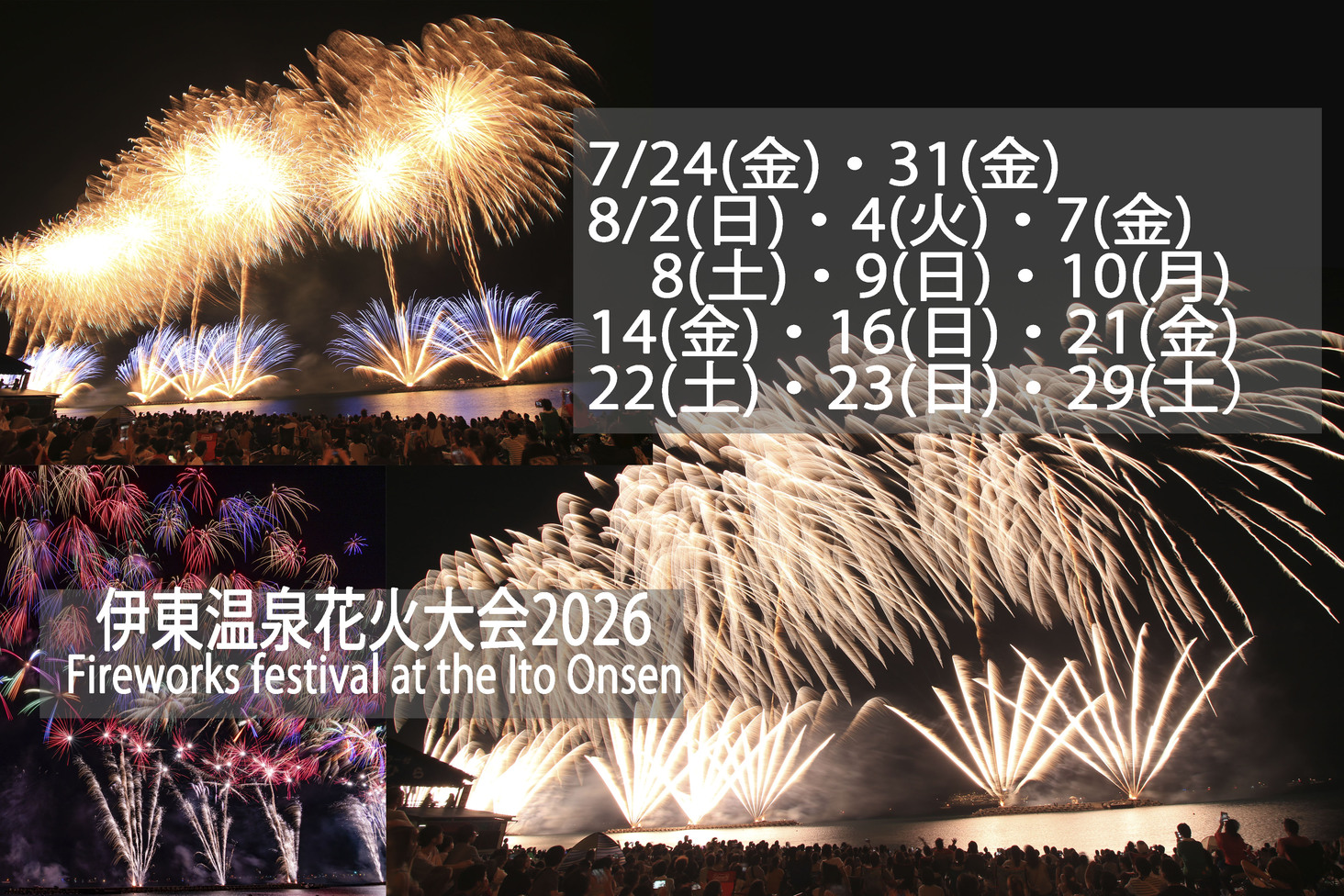 写真5