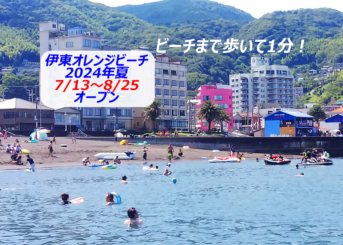 写真1
