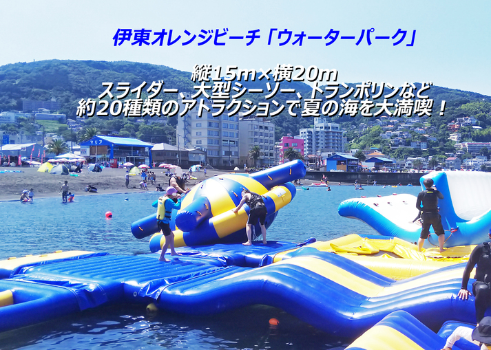 写真2