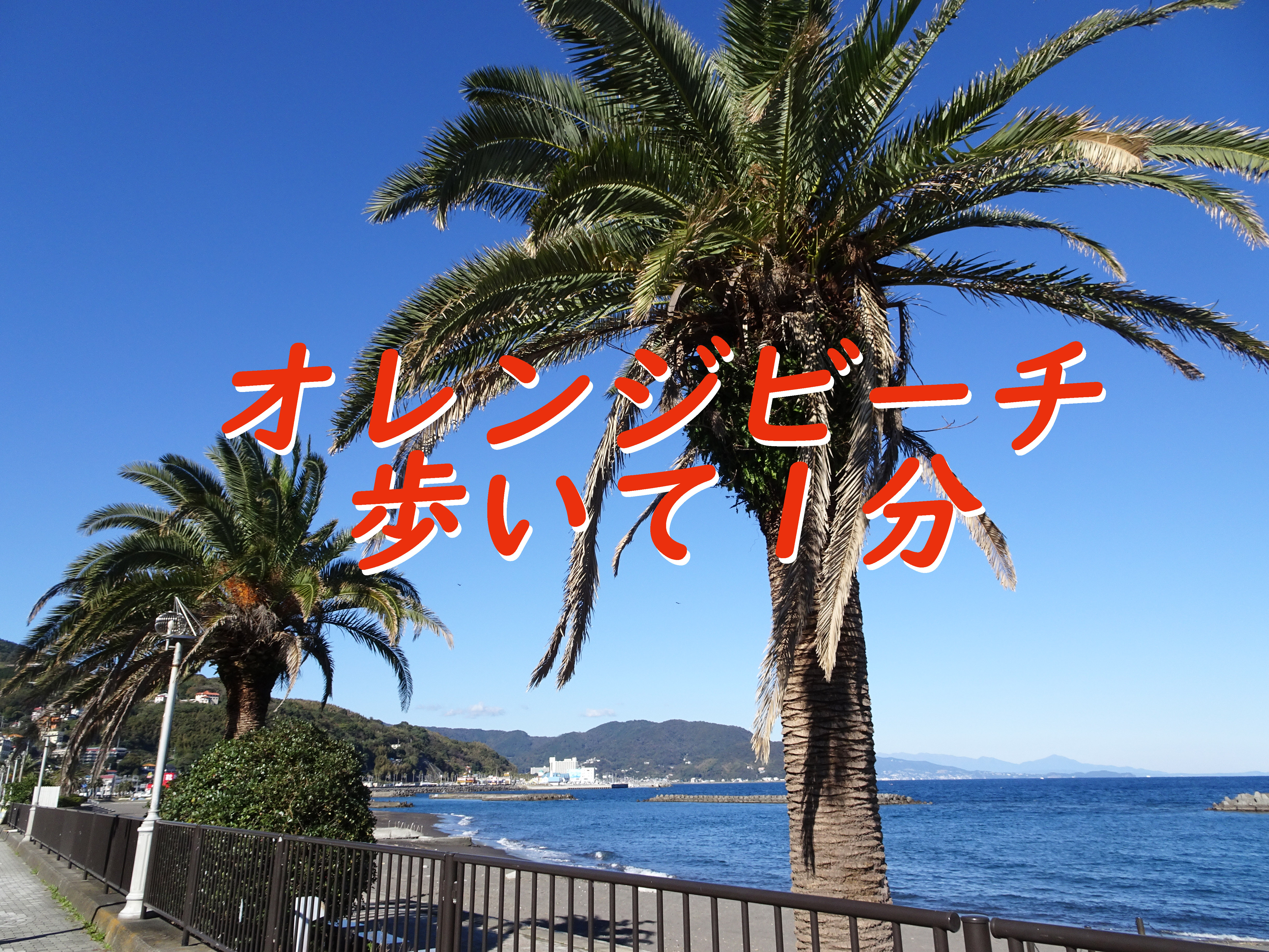 オレンジビーチ