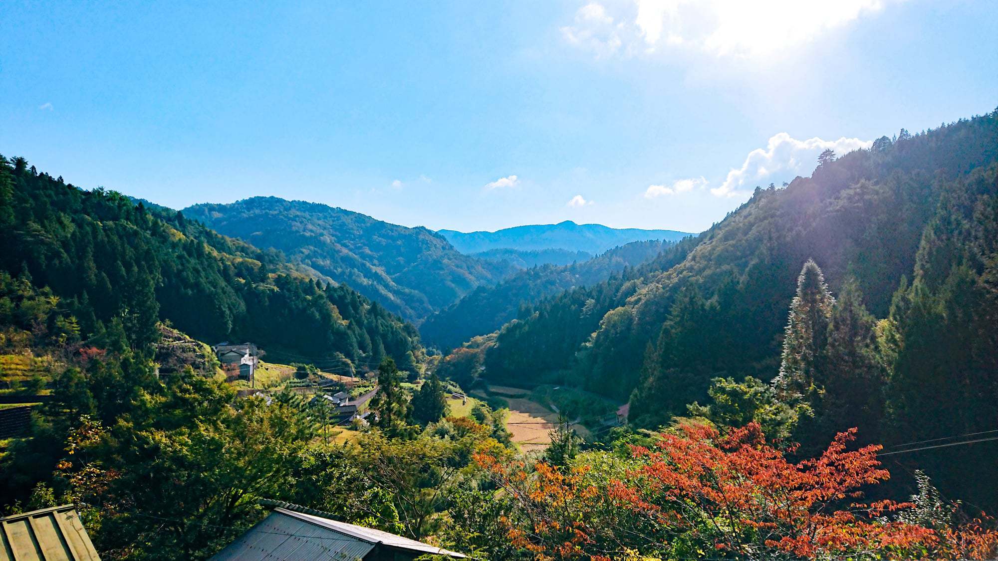 【素泊まり連泊】自然豊かな四国の山奥☆手漉き和紙作家のゲストハウスに滞在！【体験なし】