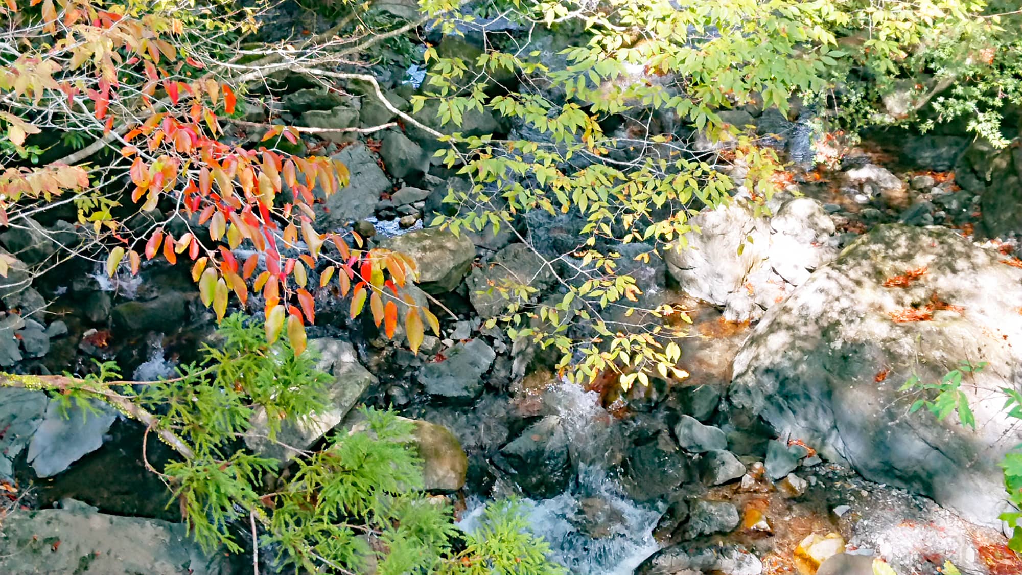 【景色】秋の檮原川