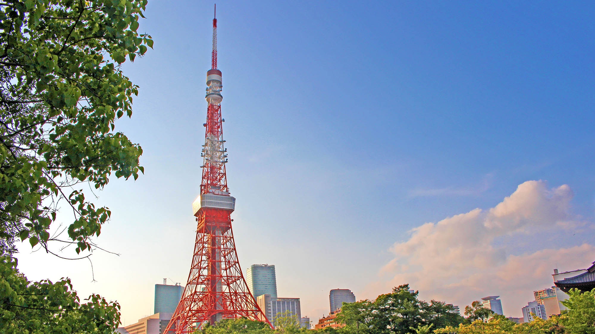 【スタンダード】東京タワー徒歩圏内♪空港アクセスも抜群で観光やビジネスの拠点に最適なゲストハウス