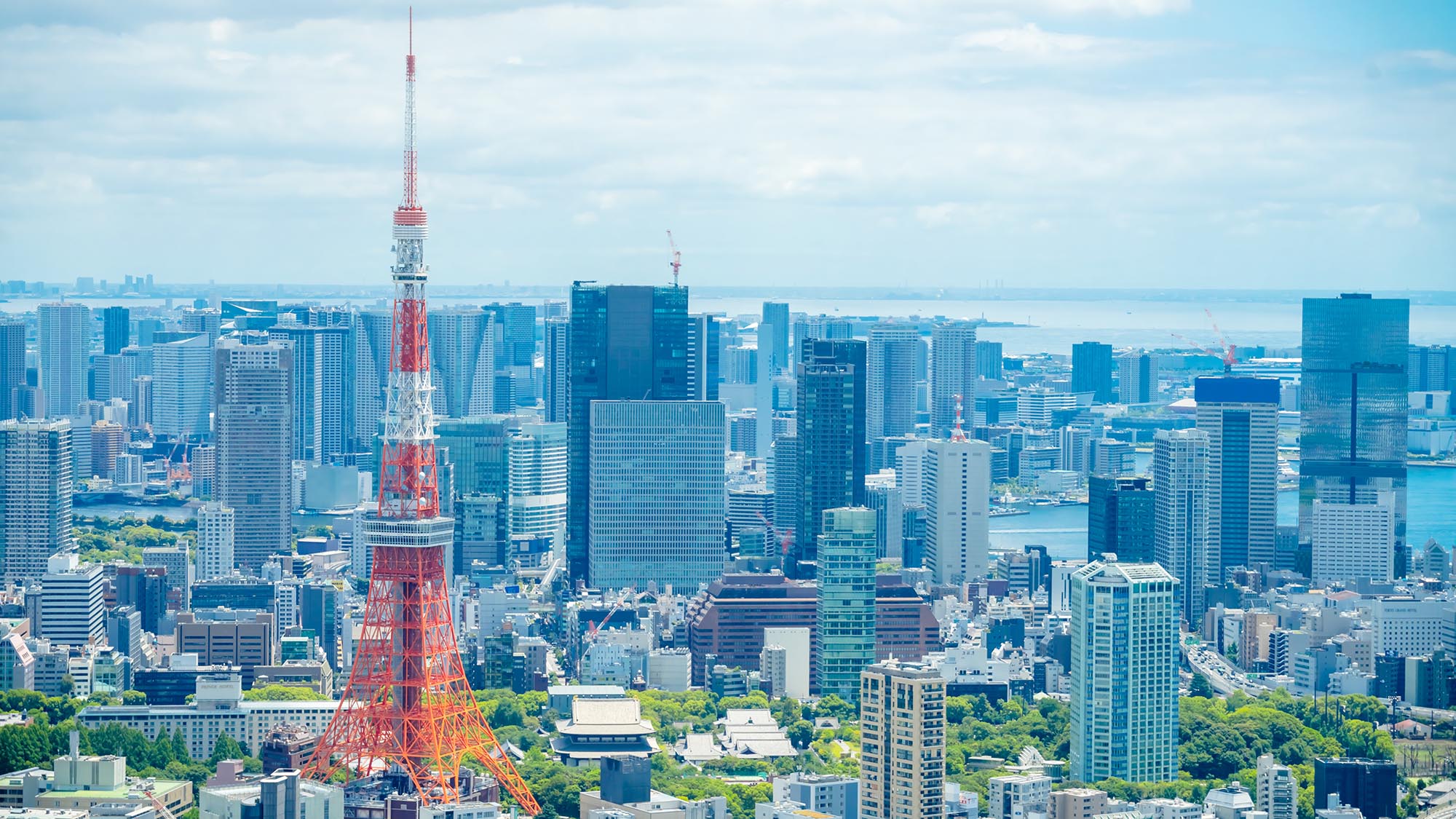 ・【周辺】東京タワーと都心を望む美しい景色
