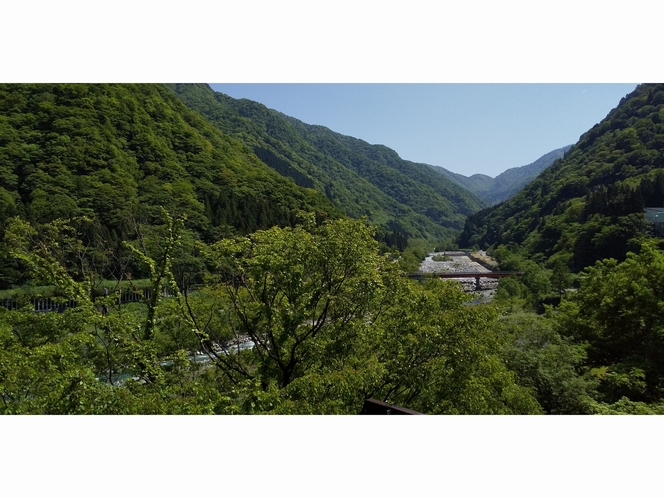 称名川と藤橋（北東方向）