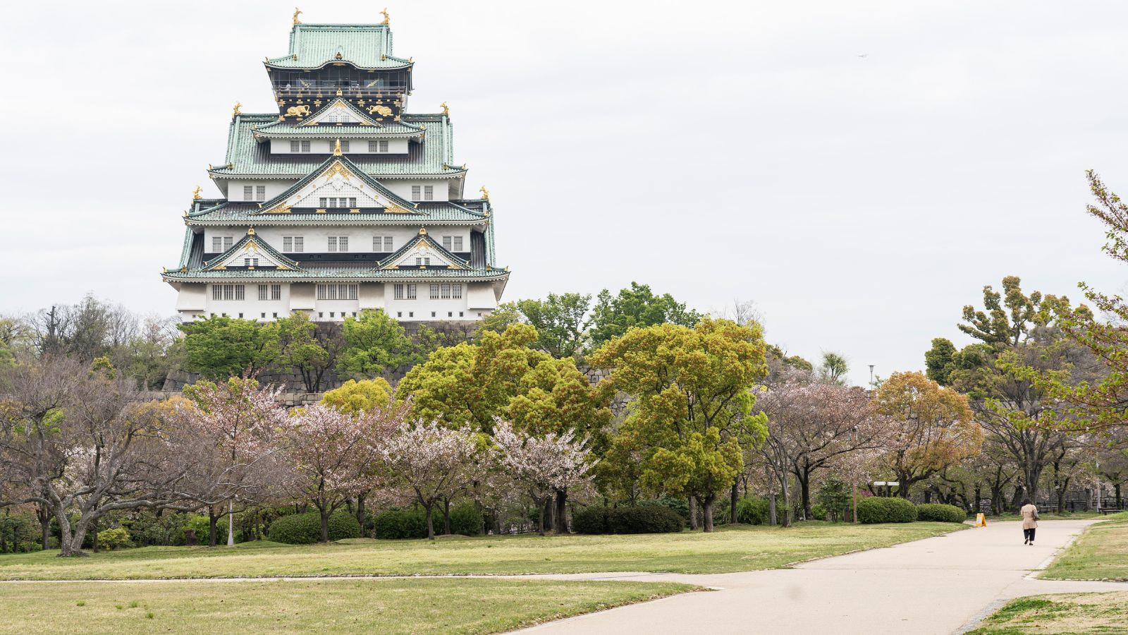 大阪城【写真提供：（公財）大阪観光局】