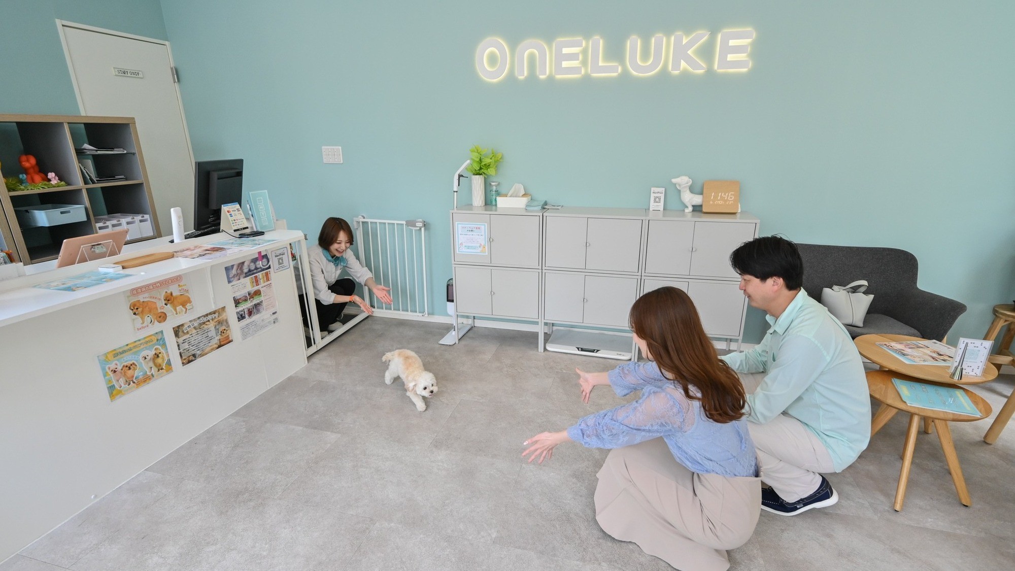 【11時チェックアウト】ワンコと朝からまた一緒旅 〜ワンルークの割引クーポン付き〜＜素泊まり＞