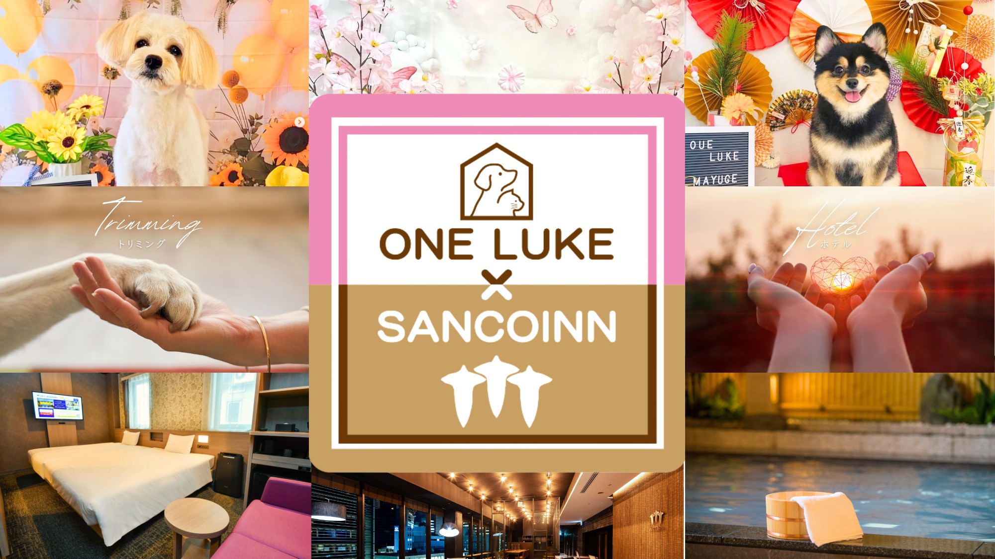 【11時チェックアウト】ワンコと朝からまた一緒旅 〜ワンルークの割引クーポン付き〜＜素泊まり＞