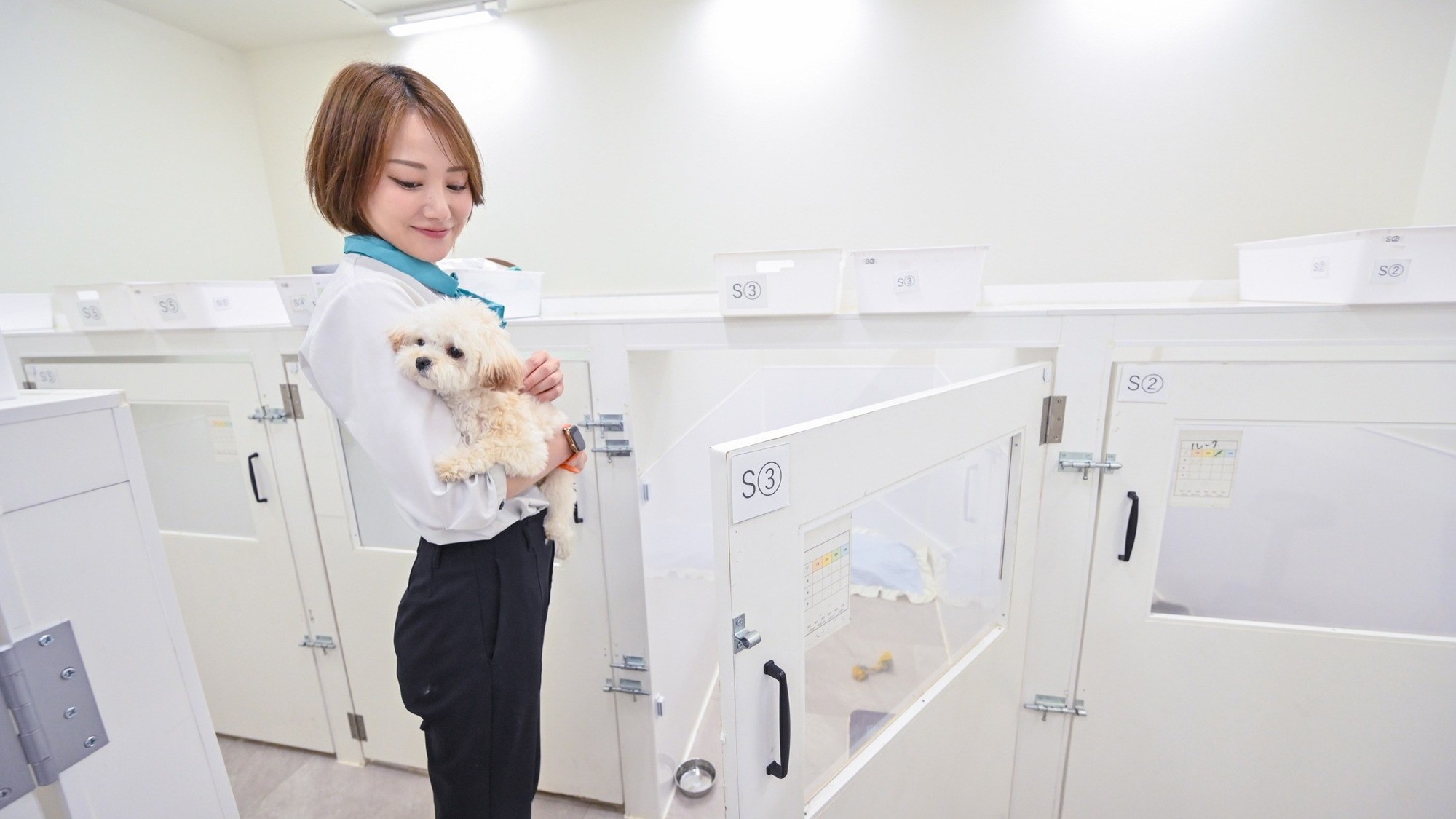 【11時チェックアウト】ワンコと朝からまた一緒旅 〜ワンルークの割引クーポン付き〜＜素泊まり＞