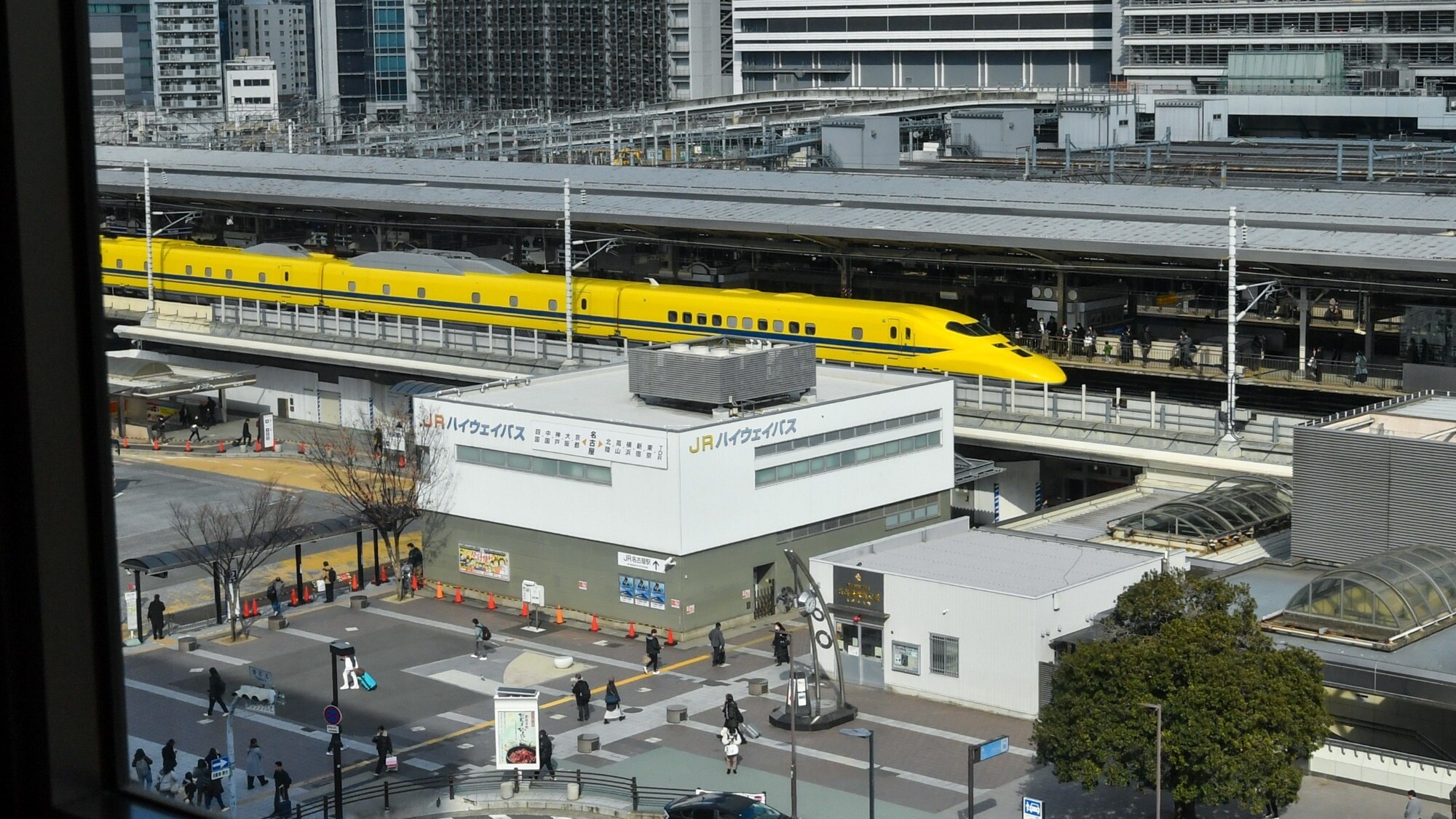 運が良ければ、こんな光景も目の前で見ることができます！