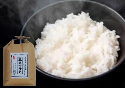 【朝食付プラン】和洋折衷・種類豊富な朝食でお腹も心も萬福に★