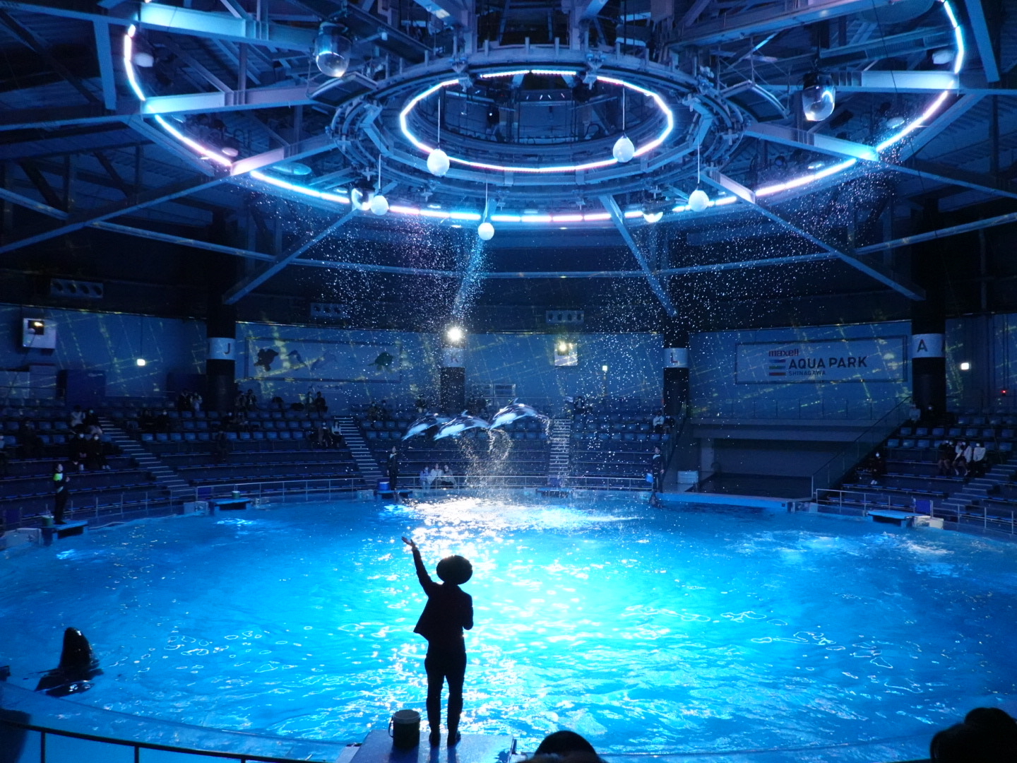 アクアパーク品川：大きな水槽には魚達でいっぱい。お勧めは、1日に数回あるイルカショーです。