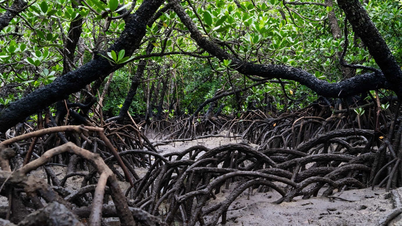 【さき楽60】60日以上前の予約でさらにお得な特別価格でご案内！