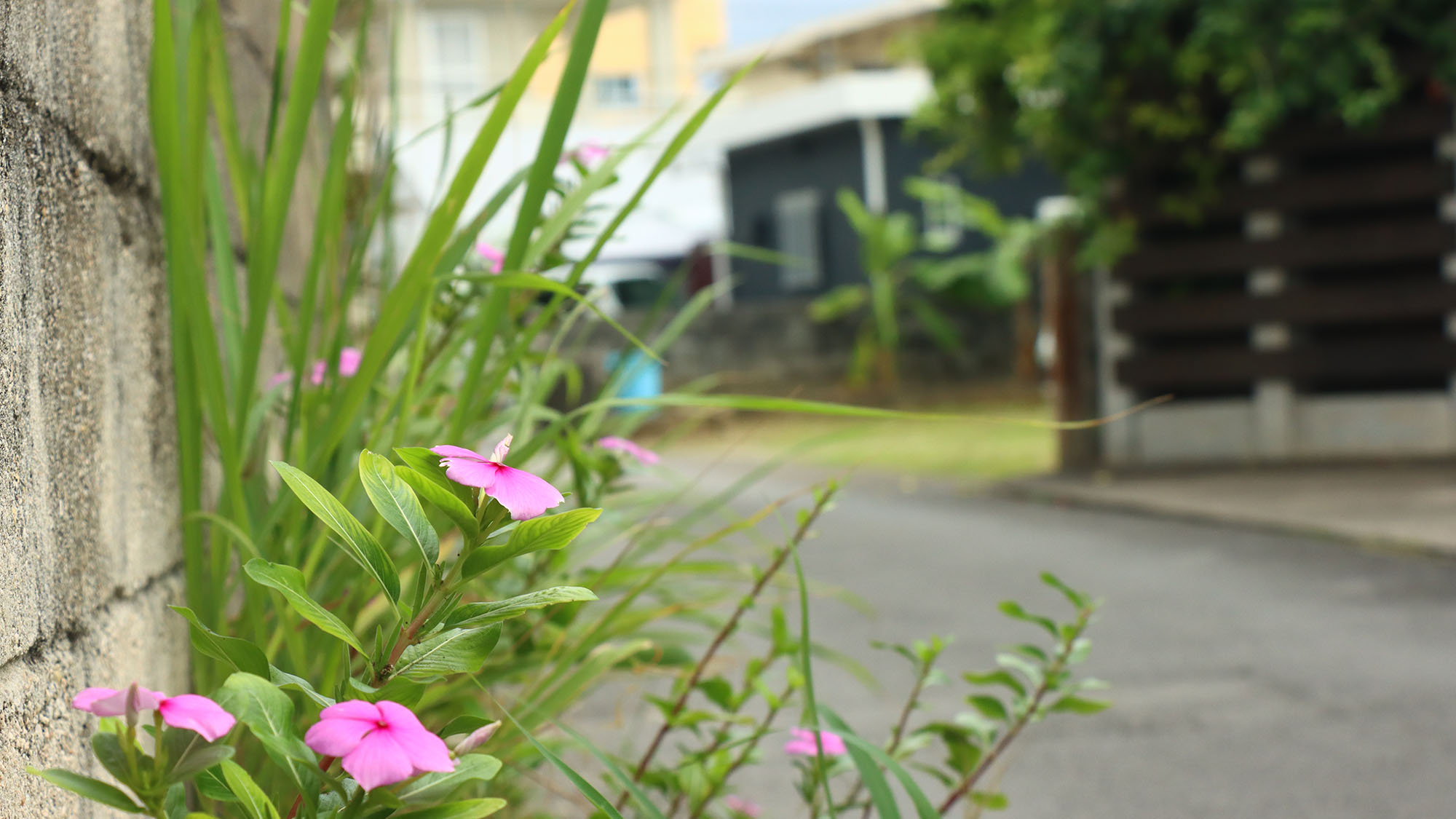 【イメージ】 近隣