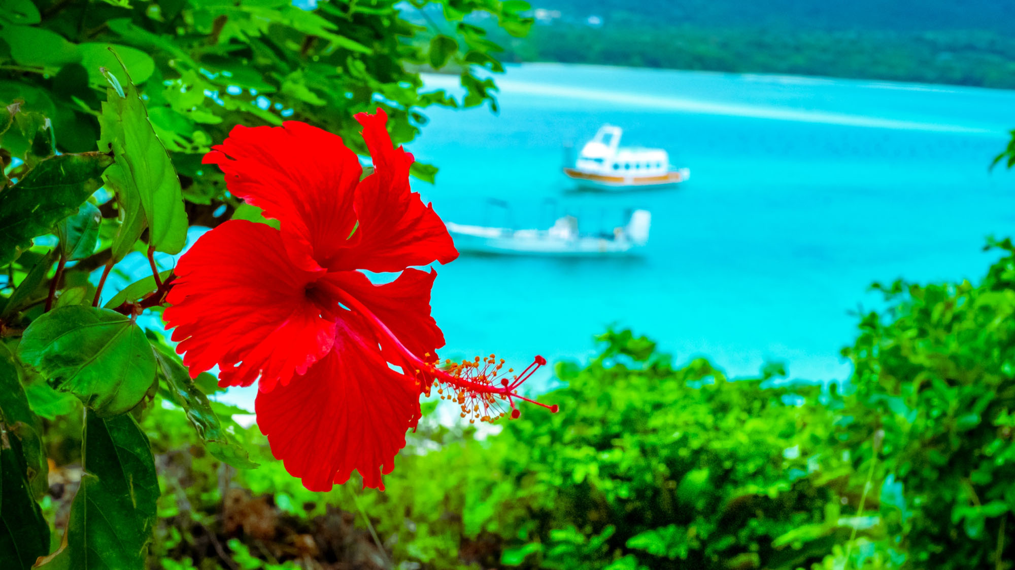 【川平(カビラ)湾】