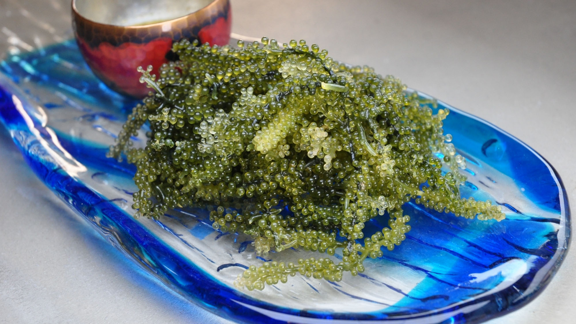 【観光】 海ぶどう