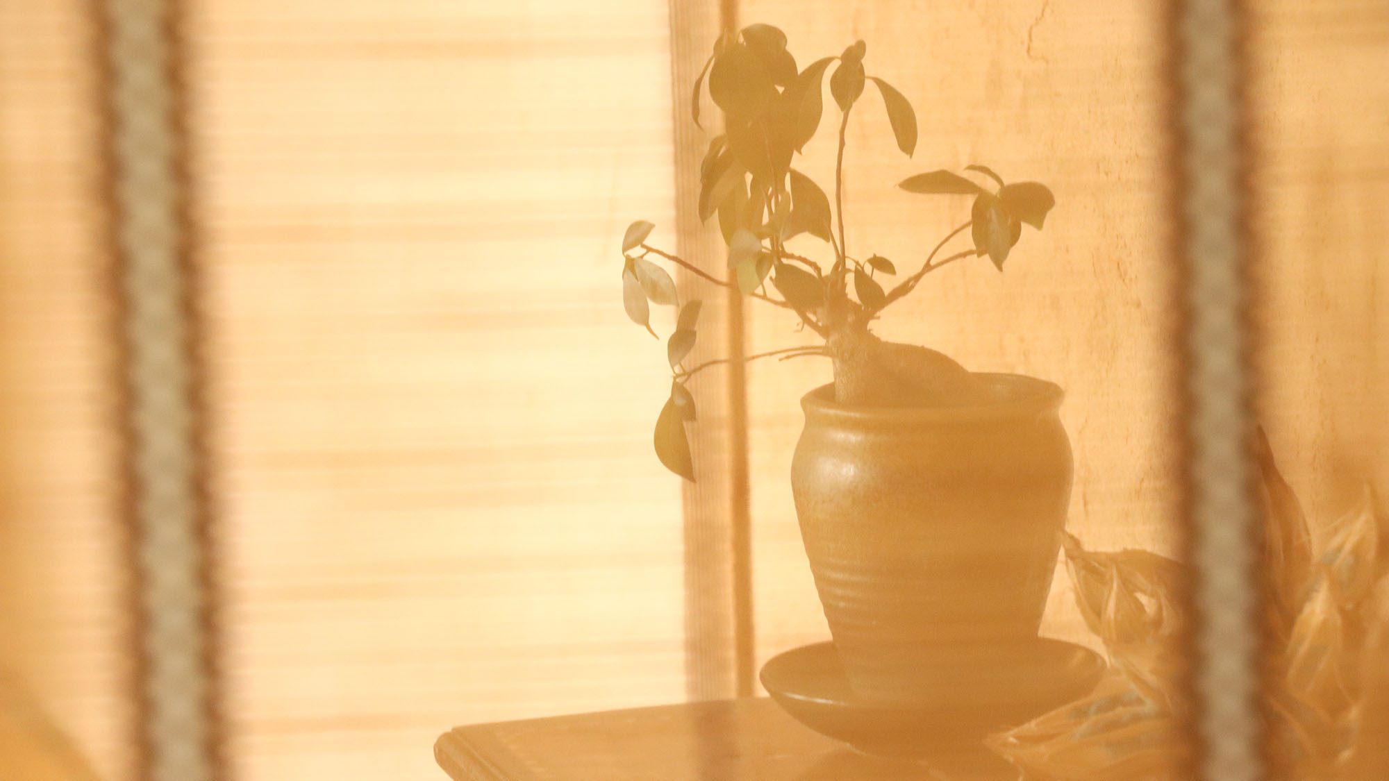 【イメージ】 館内