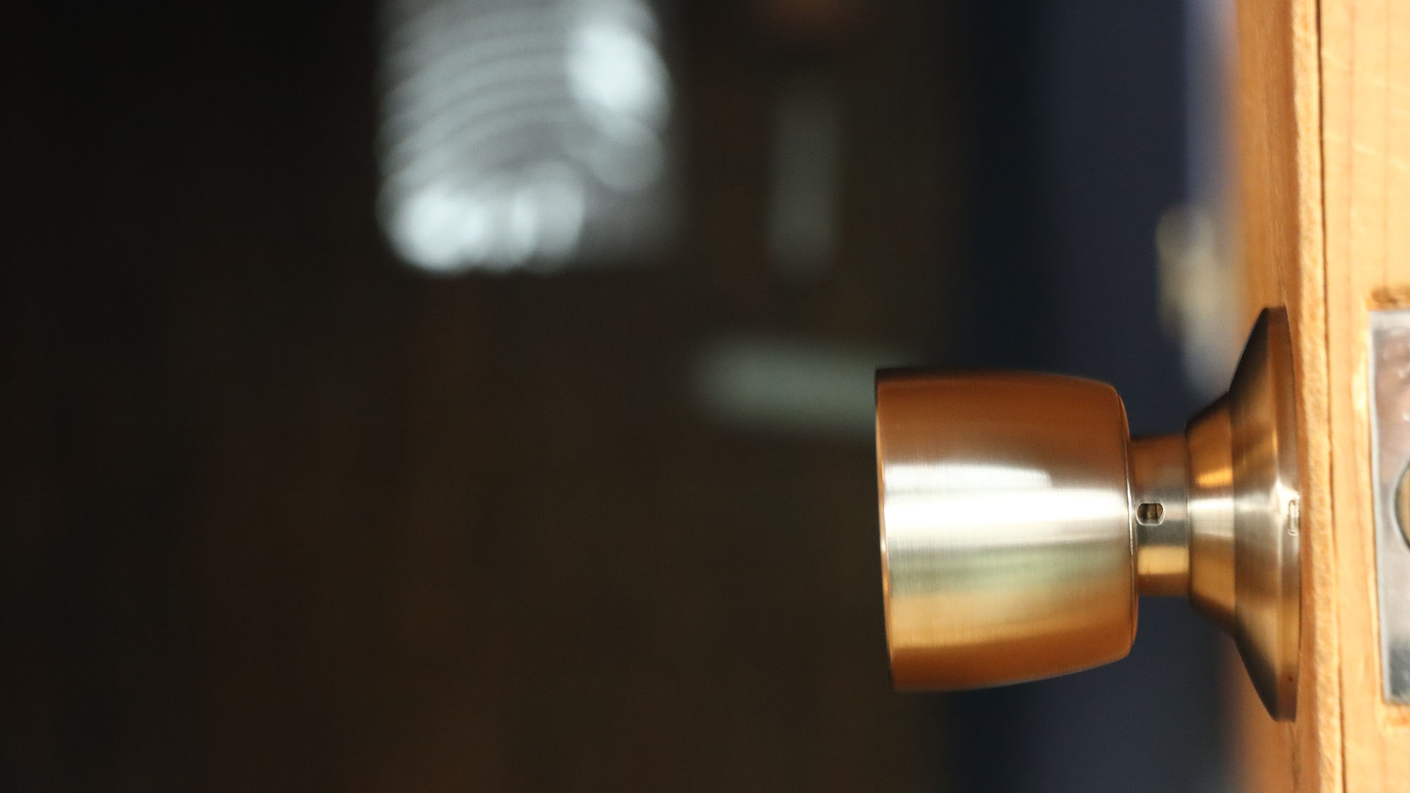 【イメージ】 館内 