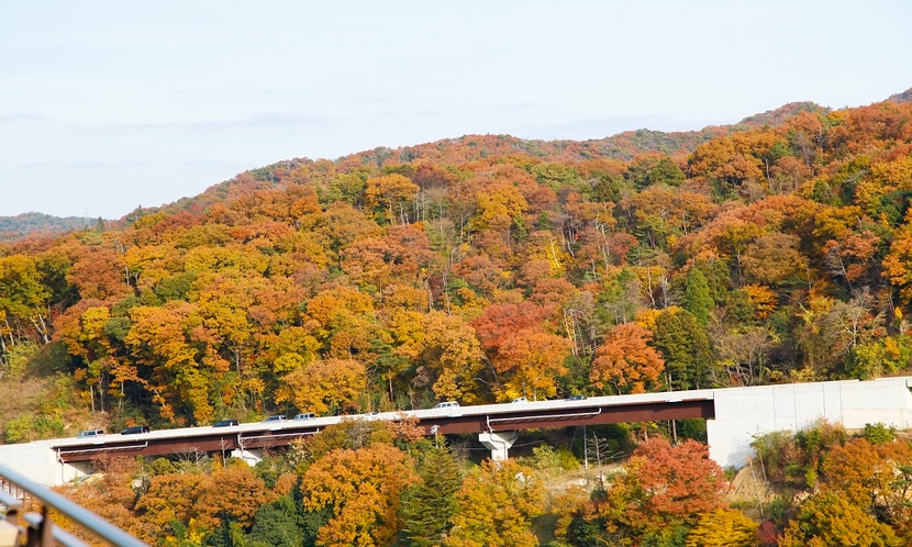 ダイニング【花籠】からの眺め「紅葉シーズン」