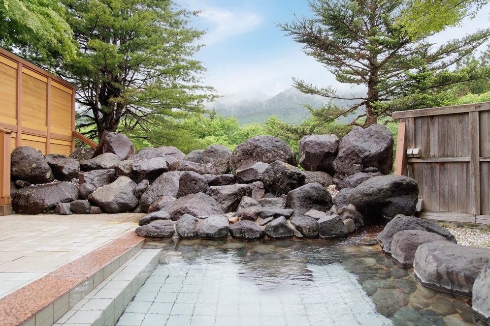 リーズナブルに温泉旅館にお泊まり♪素泊りプラン